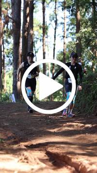 BIB:  <button type="button" onclick="openModal(26568626)" class="btn btn-primary btn-sm float-right" data-toggle="modal" data-target=".modal-high-quality">
                <i class="fa fa-download"></i> Download
                </button>